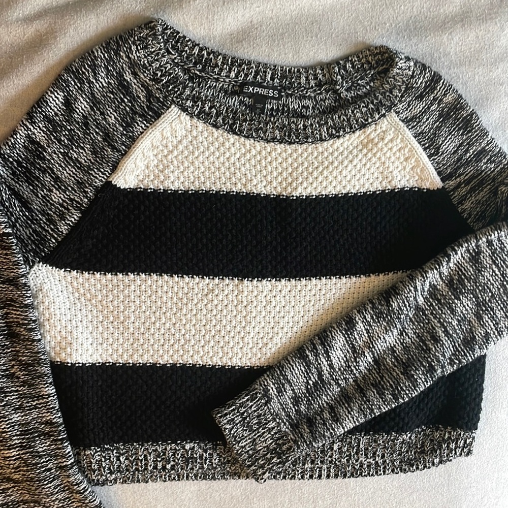 Express cropped sweater